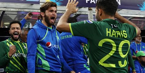 T20 Wc Pakistan Reach Final After Beating New Zealand And Proves How