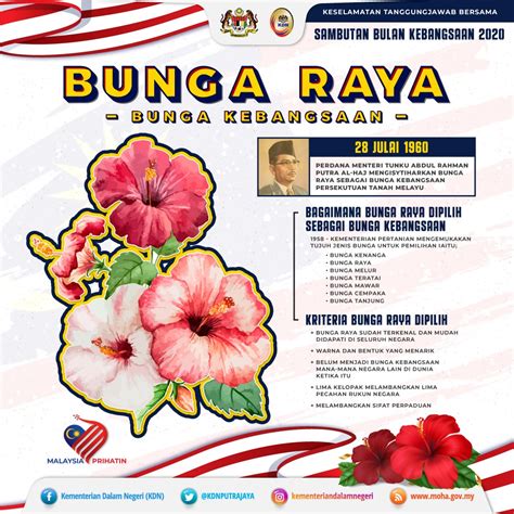 Bunga Raya Bunga Kebangsaan