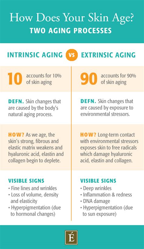 What Causes Wrinkled Skin How The Environment Ages You Eminence