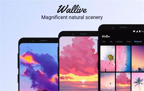 Wallive Apk Penghasil Uang Apakah Terbukti