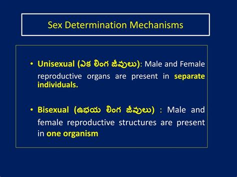 PPT Sex Determination లగ నరదరణ PowerPoint Presentation ID 597194