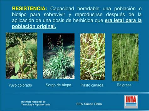 PPT Tolerancia Y Resistencia De Malezas A Herbicidas PowerPoint