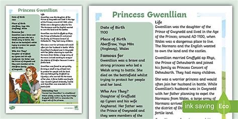 Princess Gwenllian Fact File Teacher Made Twinkl