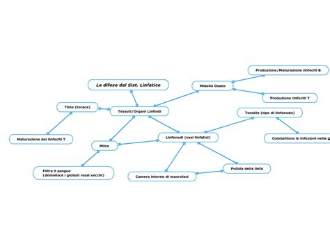 Le Difese Dal Sist Linfatico Mind Map