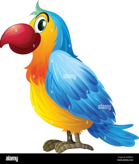 Illustration Of A Colorful Parrot On A White Background Stock Vector