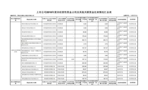 2019 029，关于《非经营性资金占用及其他关联资金往来情况汇总表的专项审核报告》的补充更正公告