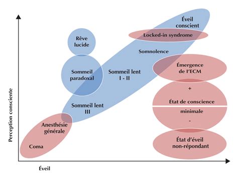 Jle Revue De Neuropsychologie Les Tats De Conscience Alt R E