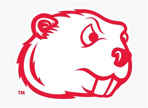 Logo Minot State Beavers Logo Hd Png Download Kindpng