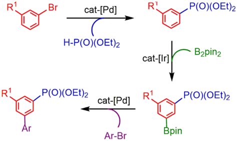 钯催化的膦酸酯化，铱催化的ch硼酸酯化反应，钯催化的suzuki Miyaura交叉偶联合成联芳基单膦酸酯catalysis Letters