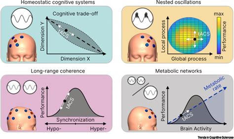 Neurocognitive Physiological And Biophysical Effects Of Transcranial