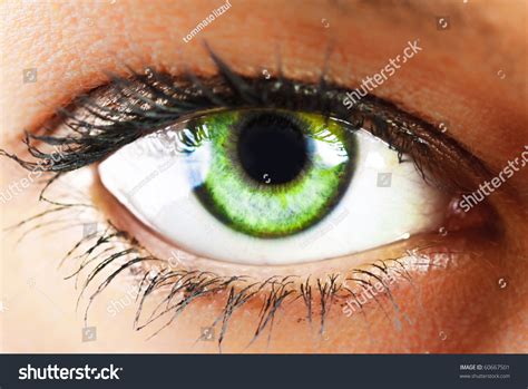 Girl'S Green Eye Close Up Stock Photo 60667501 : Shutterstock