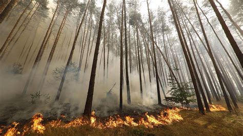 Waldbrand In Brandenburg Keine Entwarnung Nach Fund Von