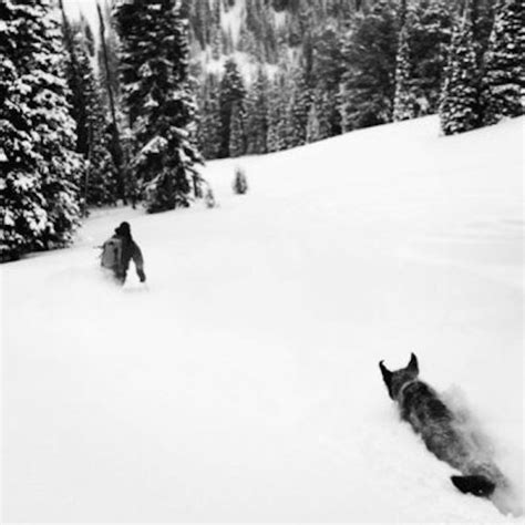 10 backcountry skiing tips you've never thought of – Garage Grown Gear