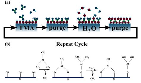 Steps Of Deposition By Atomic Layer Deposition Of Aluminium Oxide