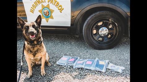 CHP K 9 Finds Narcotics During Merced County Traffic Stop Merced Sun Star