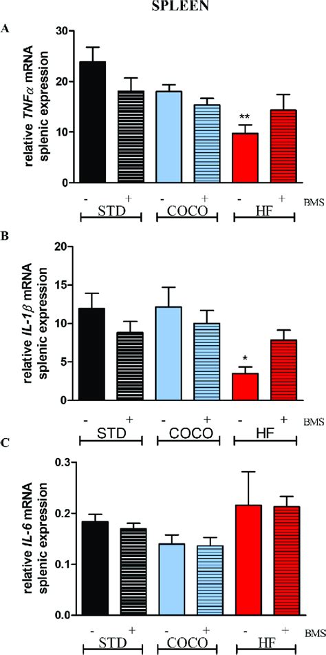 Relative Mrna Expression Of Tnf A Il B And Il C In Mouse