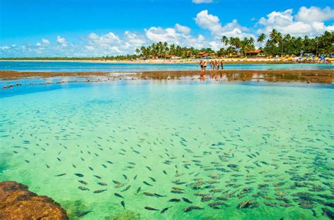 As Praias Mais Bonitas Do Brasil Rumo Ao Mar