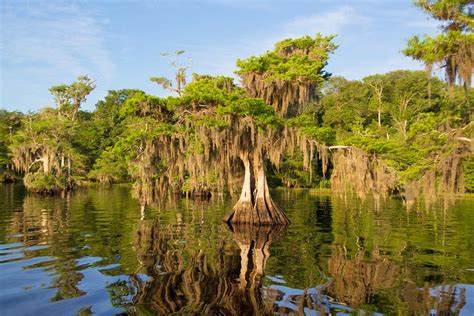 10 Best Lakes In Florida