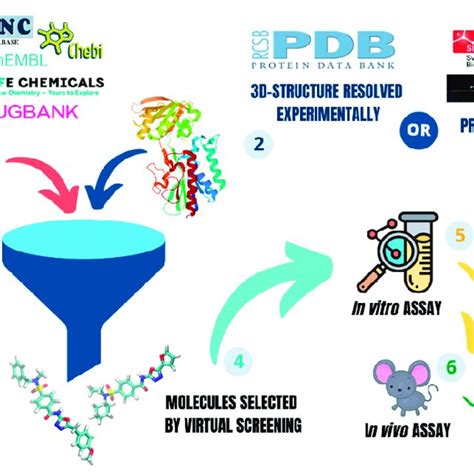 Drug Design By In Silico Approaches This Process Can Be Divided Into