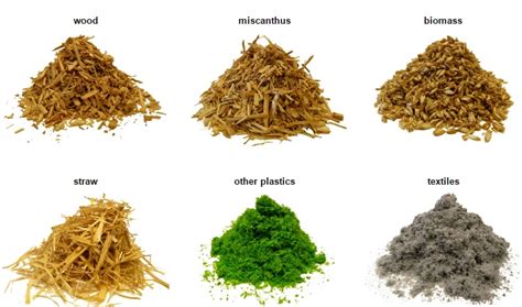 What is Biomass? | GLOBAL WOOD TRADE