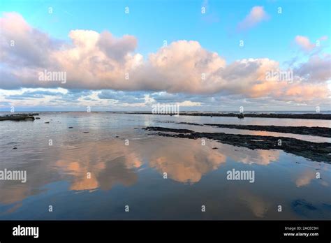 Boggle hole fossils hi-res stock photography and images - Alamy