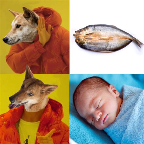 A Dingo Ate My Baby! : memes