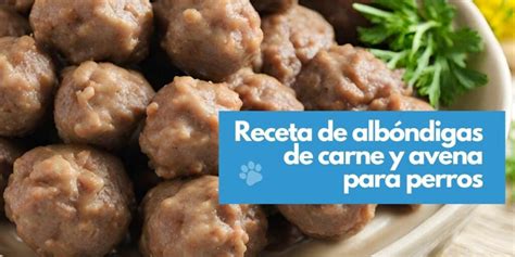 Receta para perros de albóndigas de carne molida y Avena Todo sobre