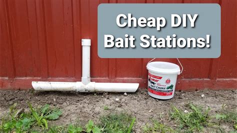 Cheap Easy Diy Bait Stations Youtube