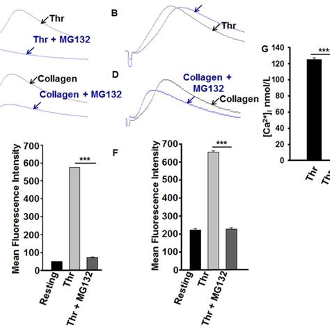 Proteasome Inhibitor Inhibits Snare Complex Formation Human Platelets