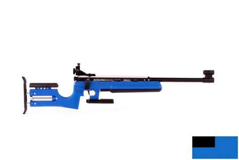 Biathlon rifle set (with Heavy Duty Target and Ecoaims Display) | Ecoaims