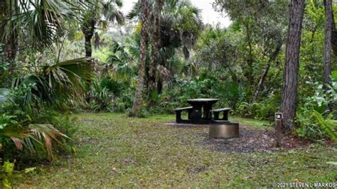 Big Cypress National Preserve Pink Jeep Campground Bringing You