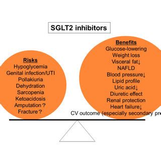 Mechanisms Of Action Of SGLT2 Inhibitors SGLT2 Inhibitors Lower Plasma