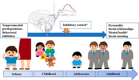 Figure 1 From Infant Behavioral Inhibition Predicts Personality And