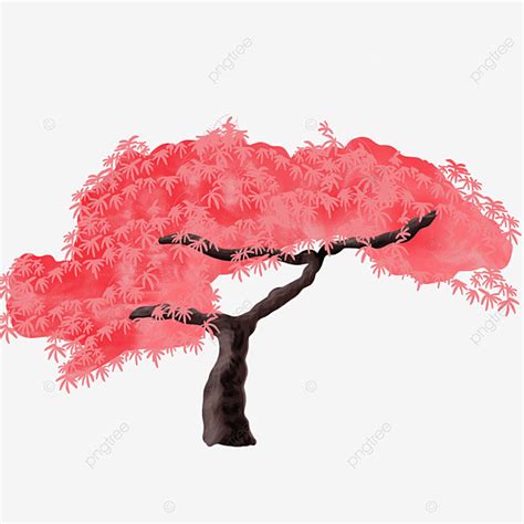 árbol De Arce Japonés De Dibujos Animados Lindo PNG dibujos Arce