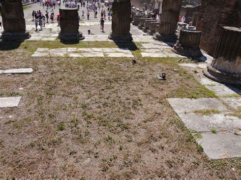 Vii Pompeii July Temple Of Jupiter Steps Leading Up The