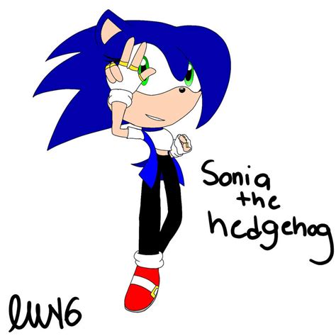 Sonia the hedgehog by lavenderWolf16 on DeviantArt