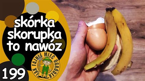 199 Jak zrobić nawóz w proszku ze skorupek jajek i skórek od banana