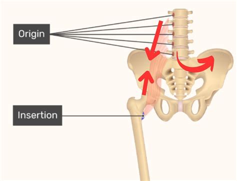 What To Do When Your Hip Flexors Are Tight Only On One Side