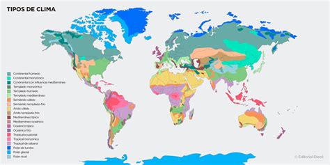 Clima mediterráneo características subtipos flora y fauna