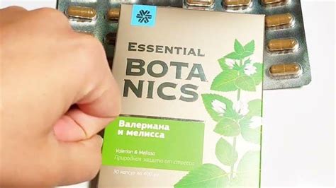 Валериана и Мелисса Сибирское Здоровье (Полный Обзор Siberian Wellness ...