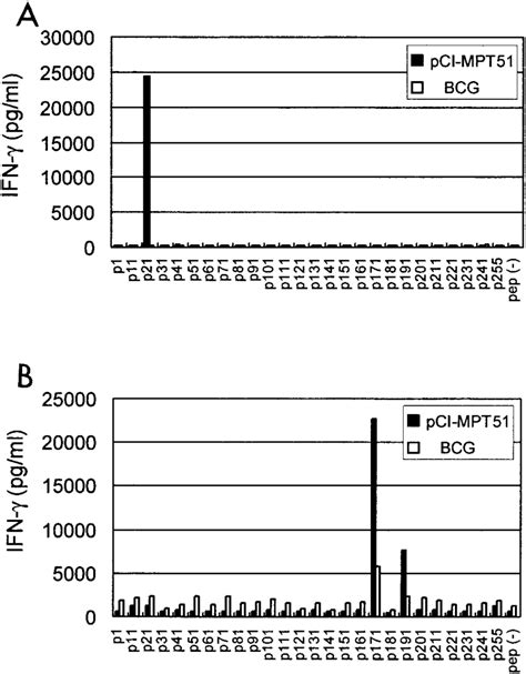 IFN Production By Spleen Cells From BALB C A Or C57BL 6 Mice B