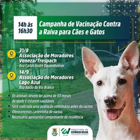 Campanha de Vacinação contra Raiva Canina vai ao encontro da população