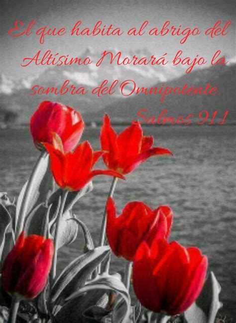 Pin De Mary En Dios Frases Biblicas De Aliento Frases De Animo Dios