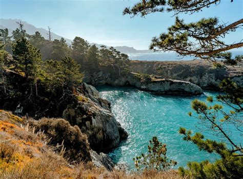 Human Nest At Treebones Resort Big Sur Ca
