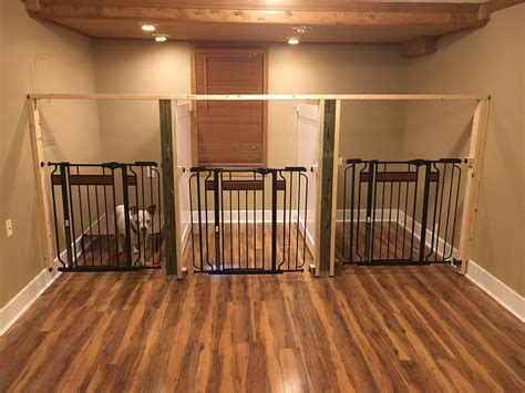 Phoenix Doggy Day Care Scottsdale Dog Boarding Pet Sitting Hotel Artofit