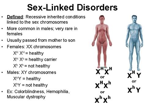 Sexlinked Punnett Squares Sex Determination Sex Determined By