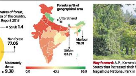 India Records Marginal Increase In Forest Cover The Hindu