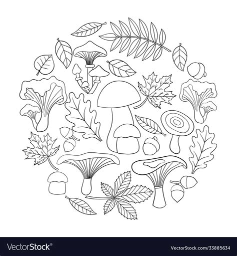 Coloring Page With Mushrooms And Autumn Leaves Vector Image