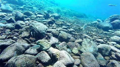 Scuba Diving Balmorhea State Park 2016 Youtube