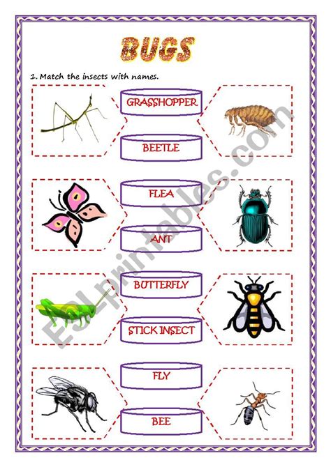 Counting Bugs Worksheets